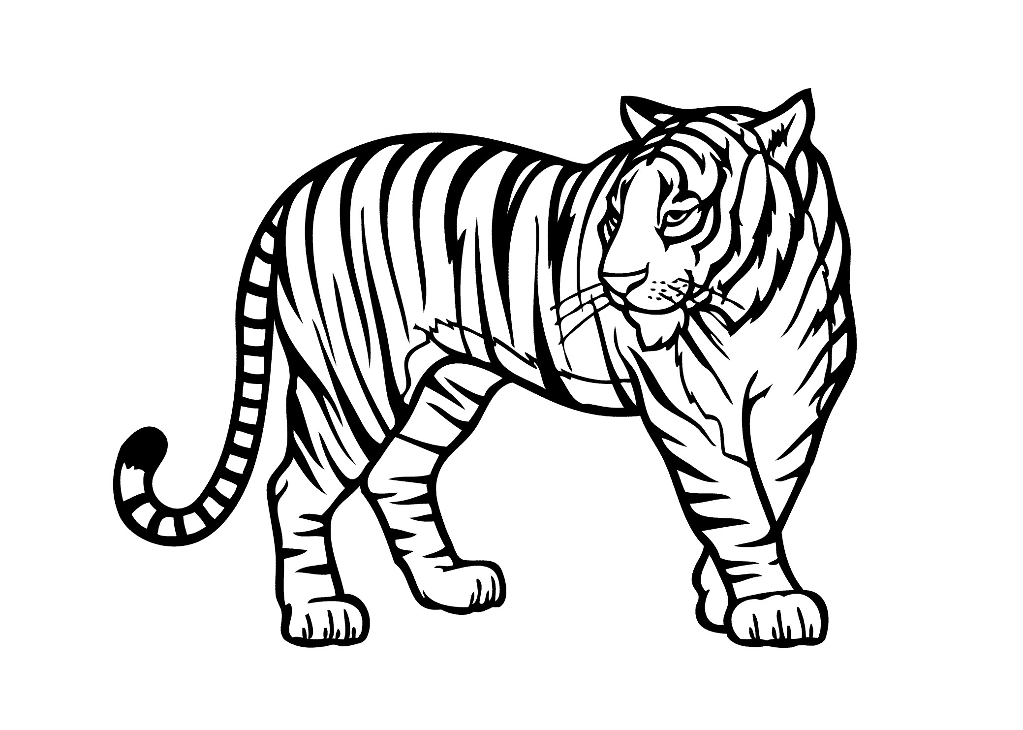 Tiger Coloring Pages For Kids
 Tiger Coloring Pages