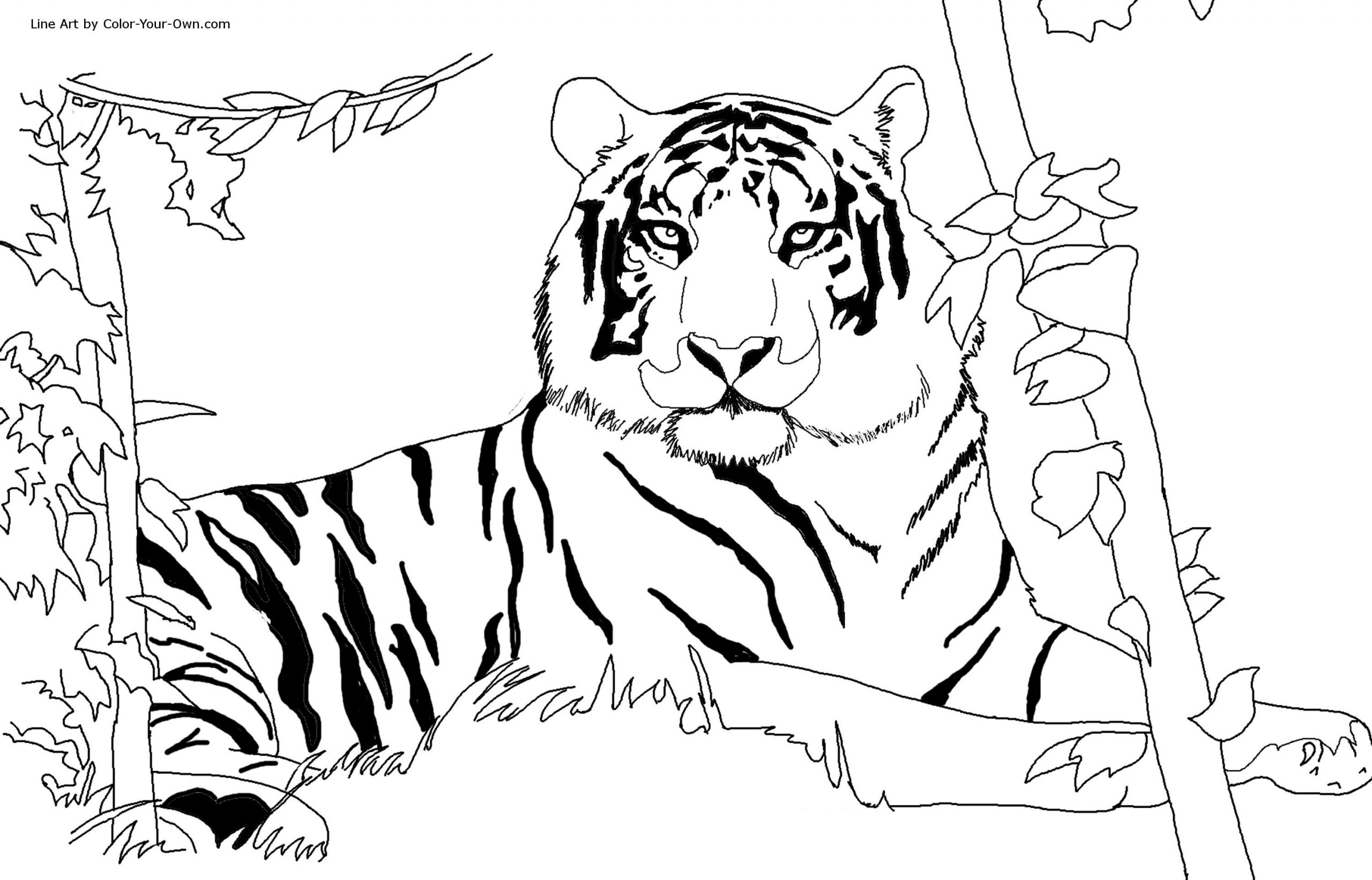 Tiger Coloring Pages For Kids
 Free Printable Tiger Coloring Pages For Kids
