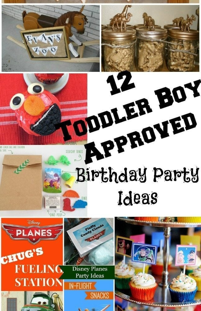 Toddler Boy Birthday Gift Ideas
 12 Toddler Boy Party Ideas