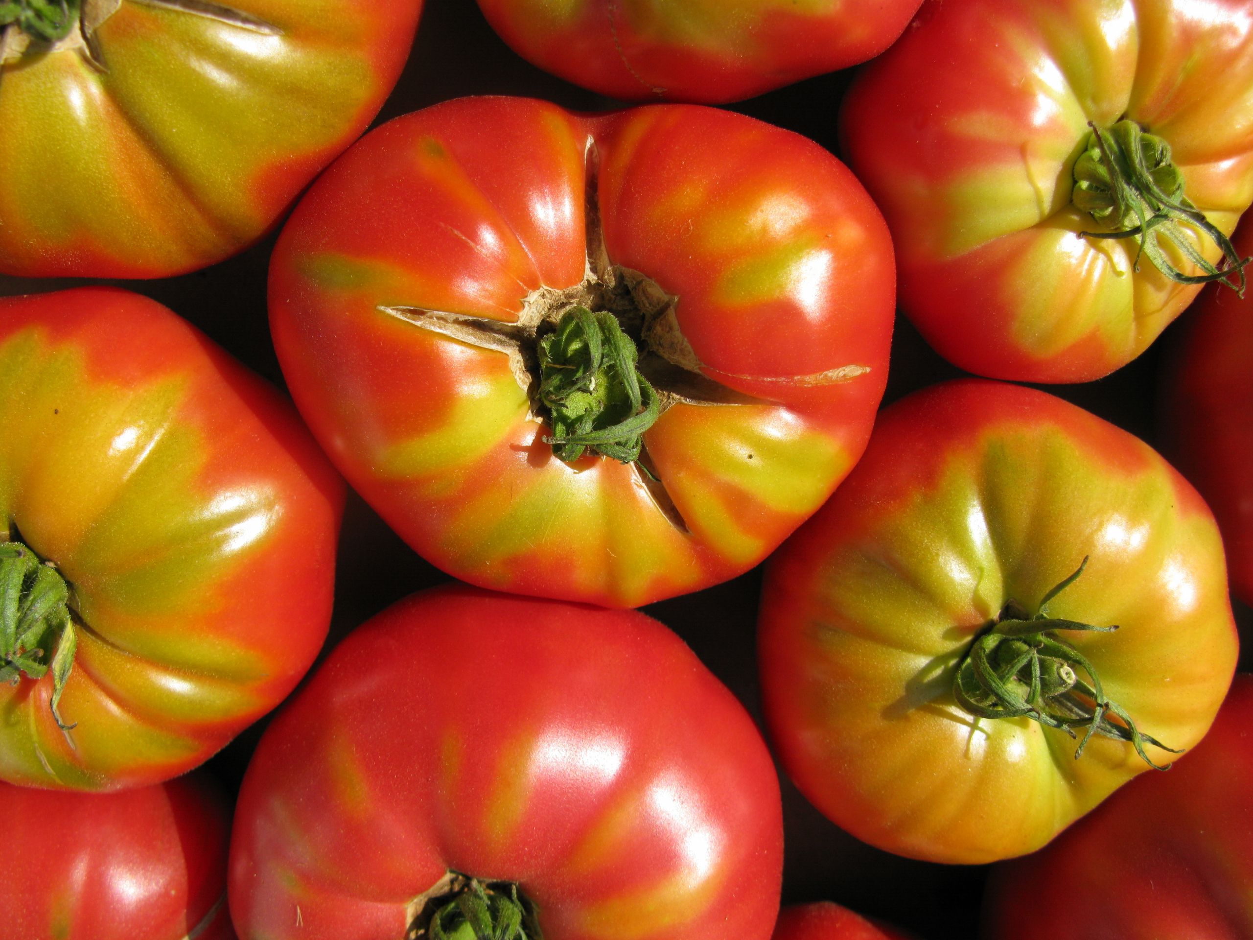 Tomato A Fruit Or Vegetable
 The Fascinating History How a Tomato Turned From a