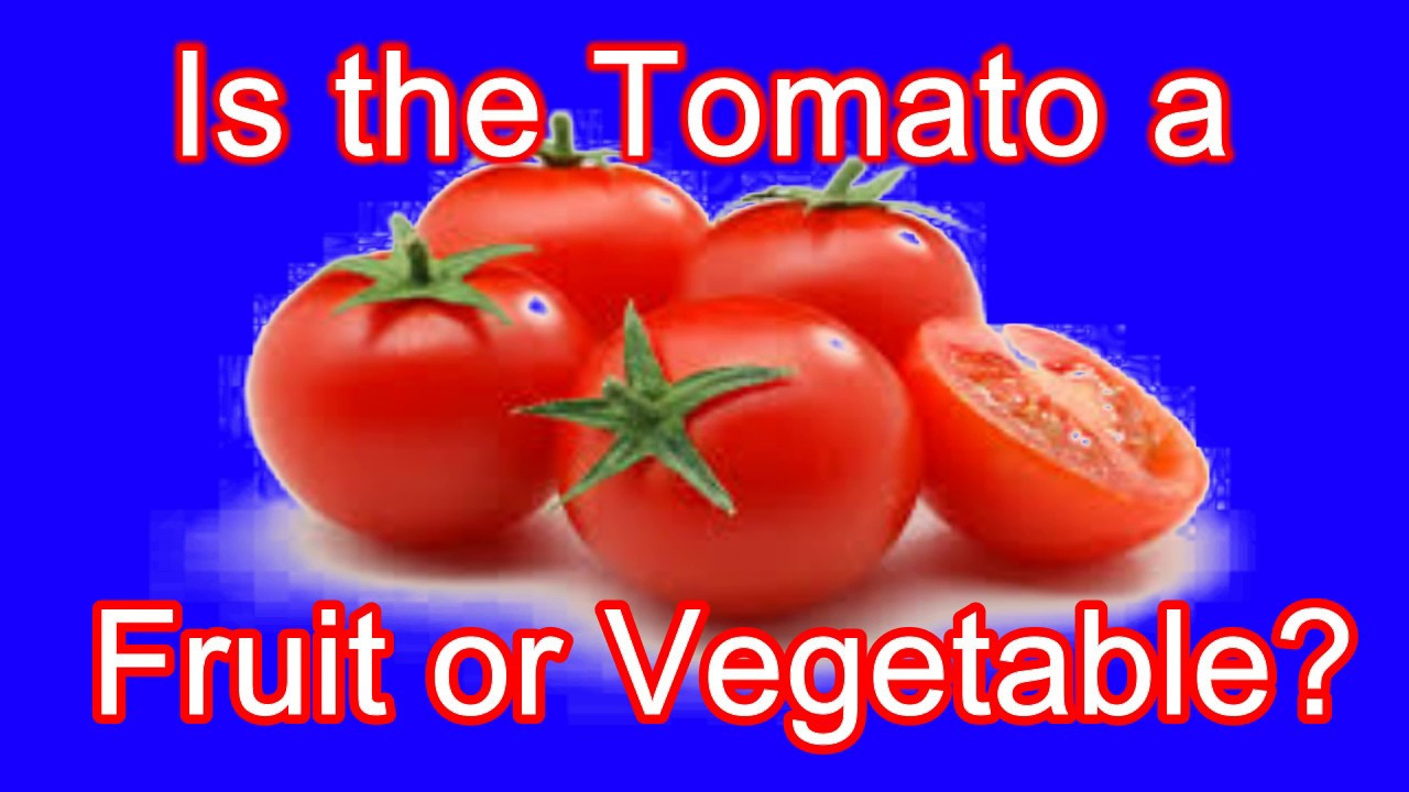 Tomato A Fruit Or Vegetable
 Is the tomato a fruit or ve able