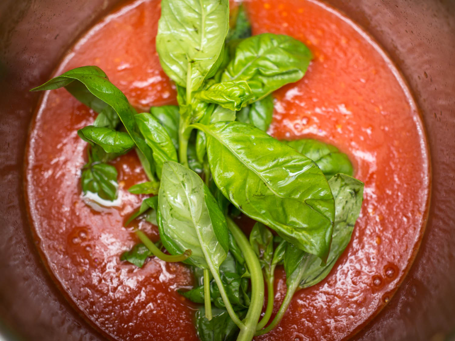 Tomato Sauce With Fresh Tomatoes
 The Best Fresh Tomato Sauce Recipe