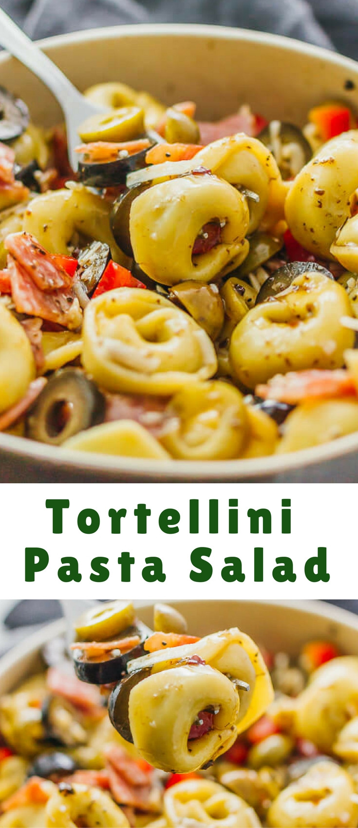 Tortellini Pasta Salad With Italian Dressing
 Tortellini Pasta Salad with Italian Dressing Blogger Bests