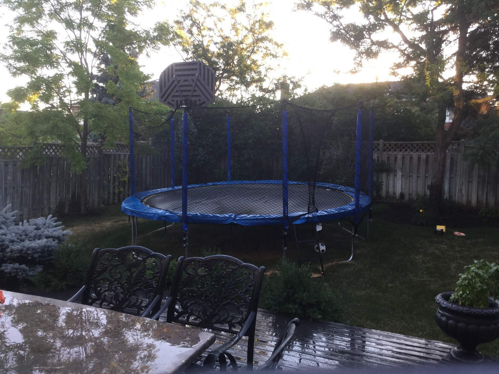 Trampolines For Backyard
 Display Backyard Trampolines for Sale