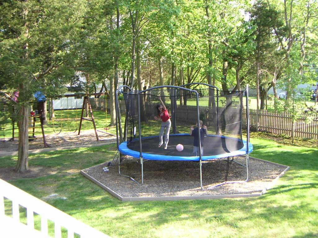 Trampolines For Backyard
 Lawn Repair Patching a Area with Kentucky Bluegrass