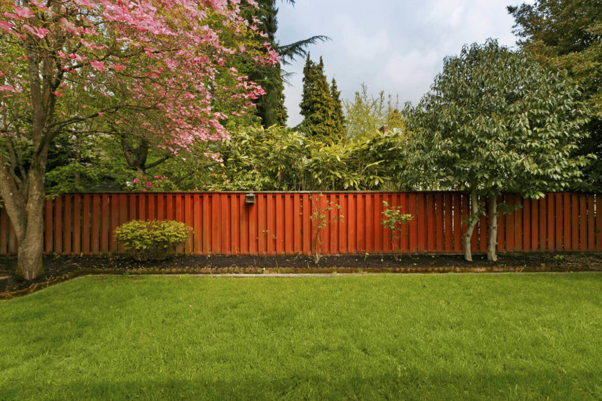 Tree In The Backyard
 32 Brilliant Backyard Tree Ideas Home Stratosphere