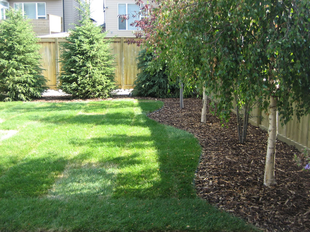 Tree In The Backyard
 Calgary Backyard With Trees Morgan K Landscapes