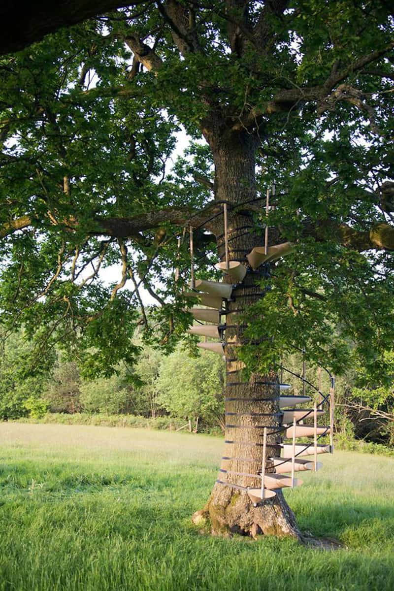 Tree In The Backyard
 How to Build a Treehouse in the Backyard