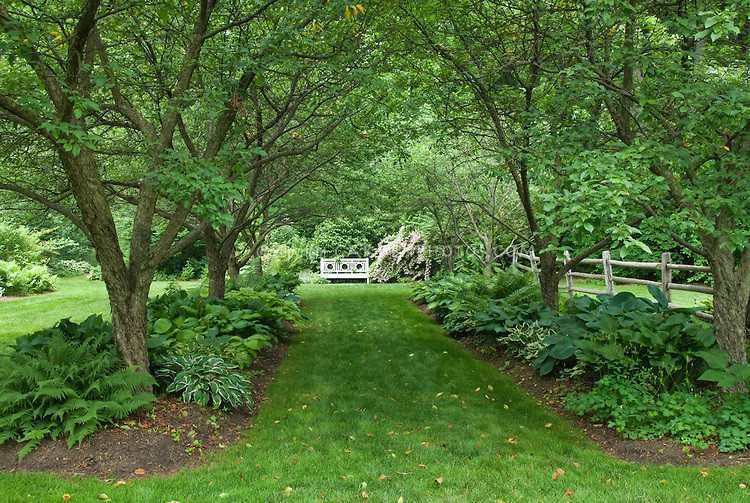 Trees For Backyard
 5 Trees for Garden Shade Jim s Mowing NZ