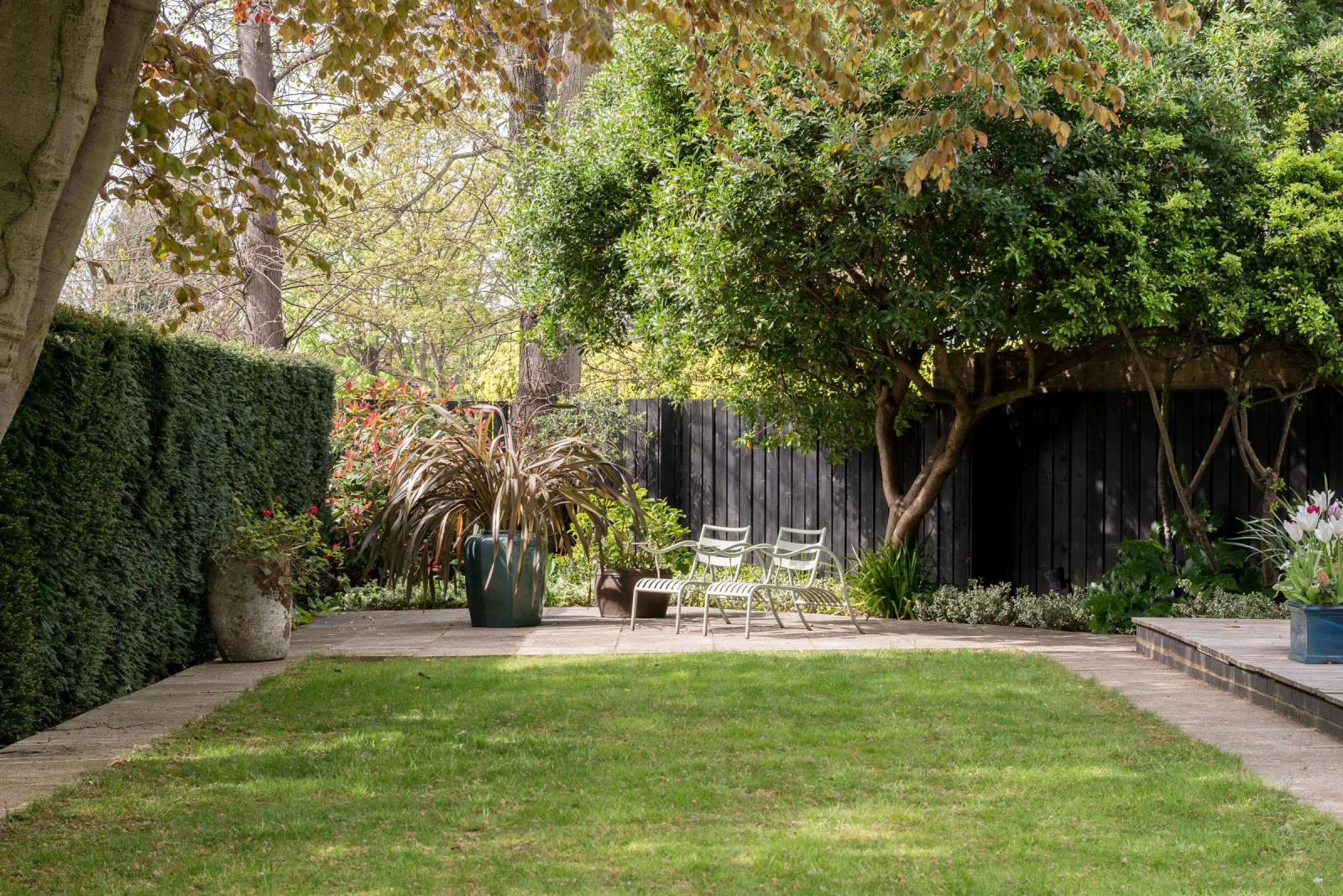 Trees For Backyard
 10 Garden Ideas to Steal from London Gardenista