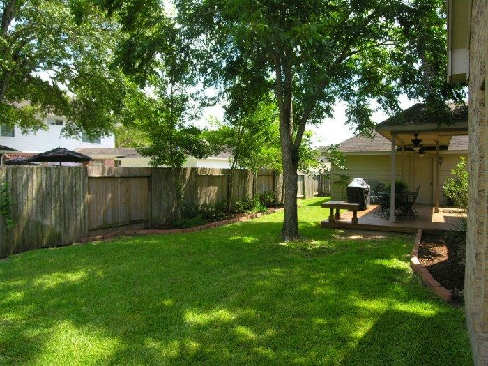 Trees For Backyard
 Shade Trees For The Backyards