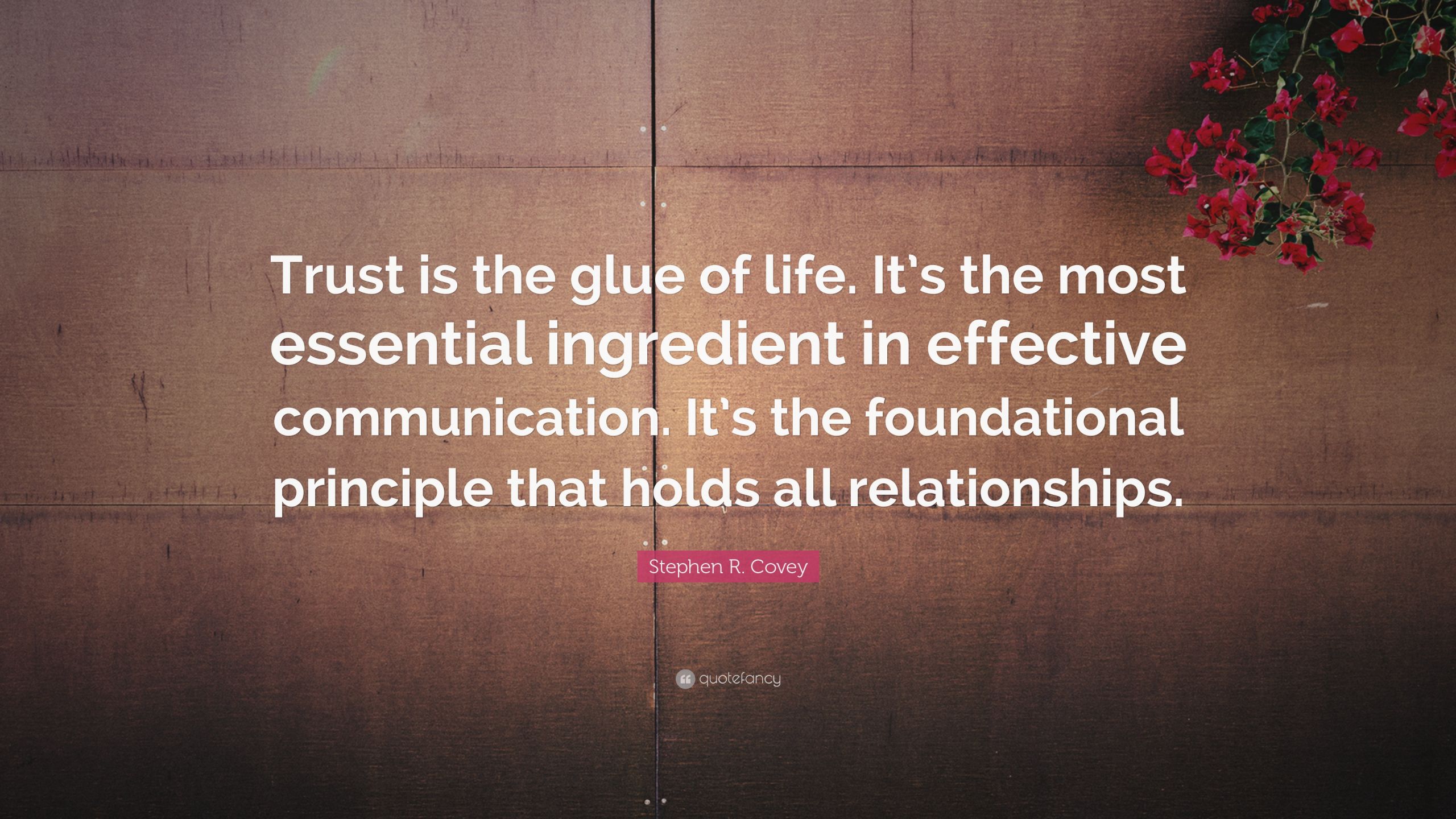 Trust Relationship Quote
 Relationship Quotes 58 wallpapers Quotefancy