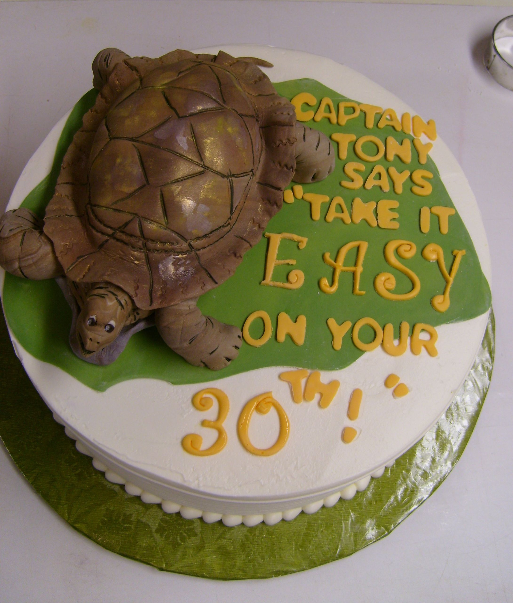 Turtle Birthday Cake
 Turtle cake – Decoration Ideas