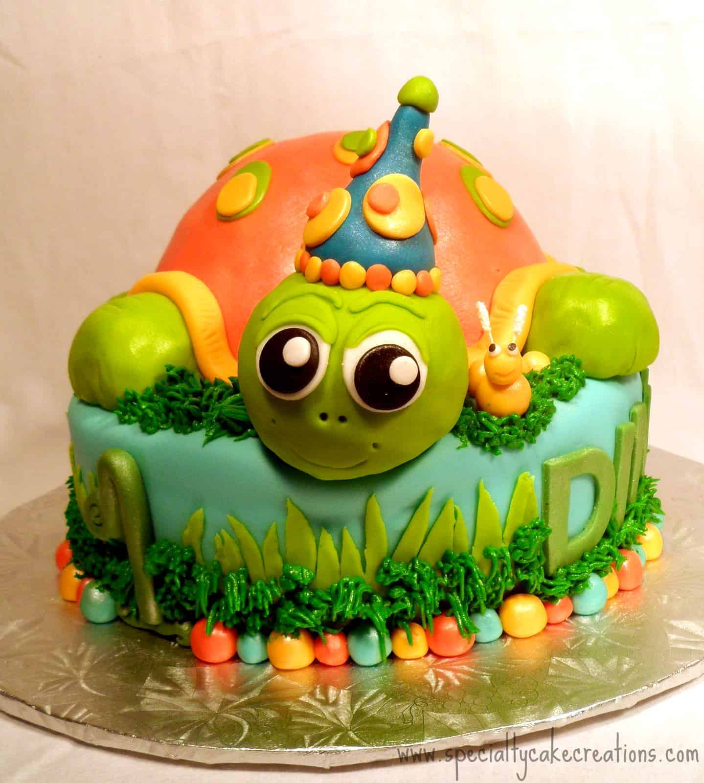 Turtle Birthday Cake
 Specialty Turtle Cake