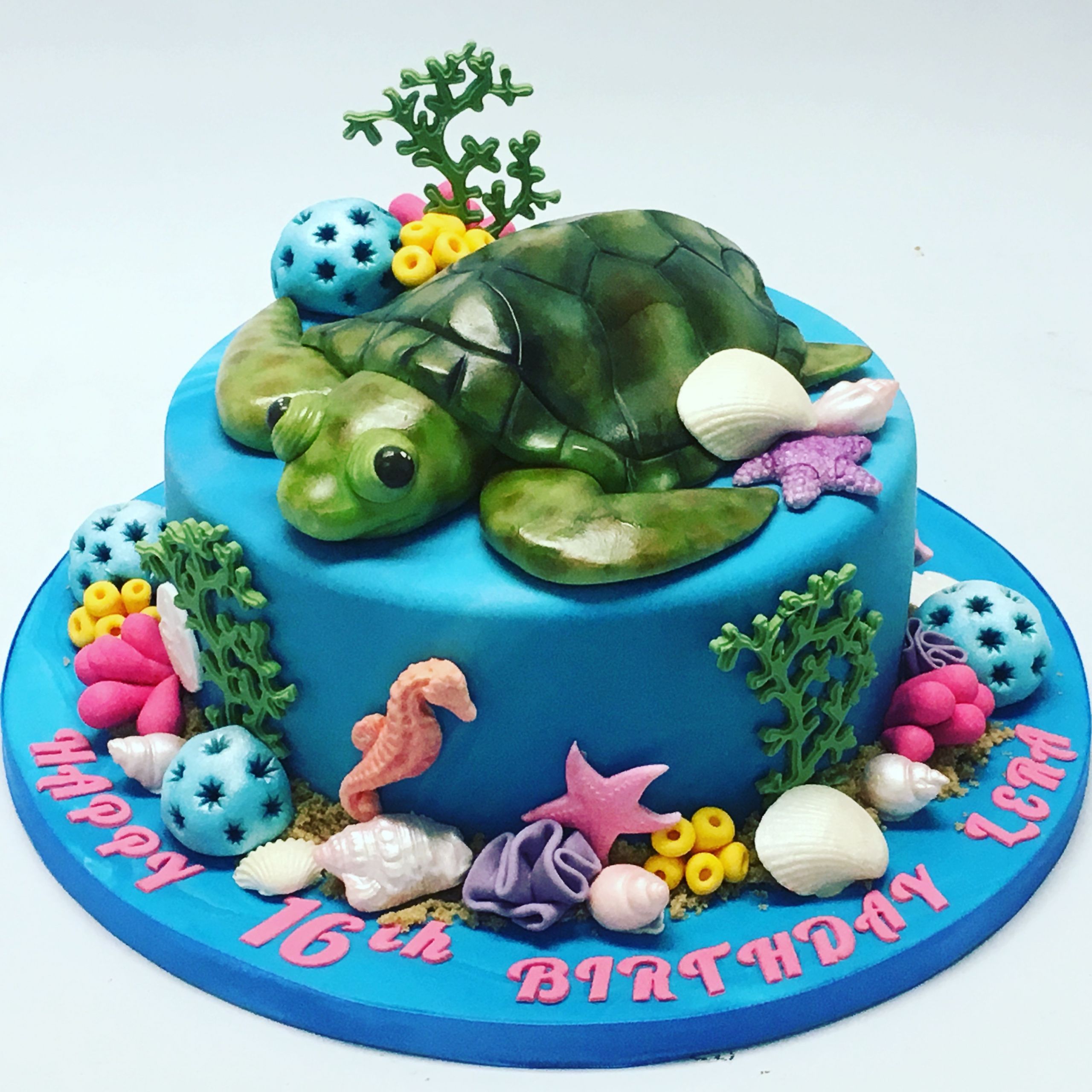 Turtle Birthday Cake
 Turtle Cake Girls Birthday Cakes Celebration Cakes