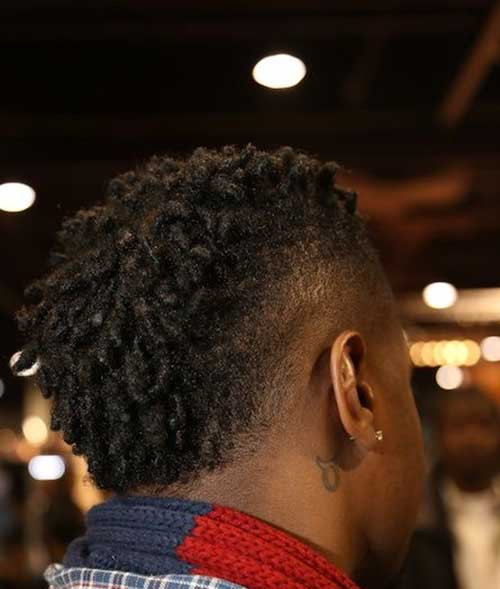 Twist Hairstyles Male
 Afro Twist Hairstyles