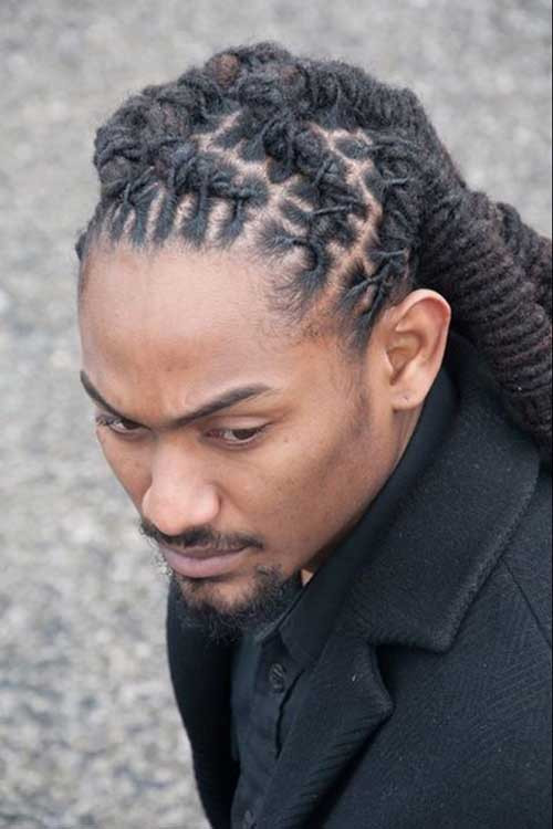 Twist Hairstyles Male
 Afro Twist Hairstyles