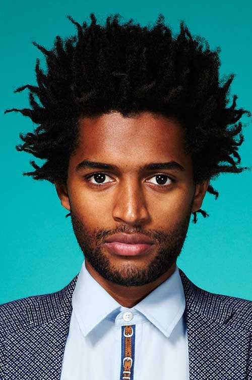 Twist Hairstyles Male
 Afro Twist Hairstyles