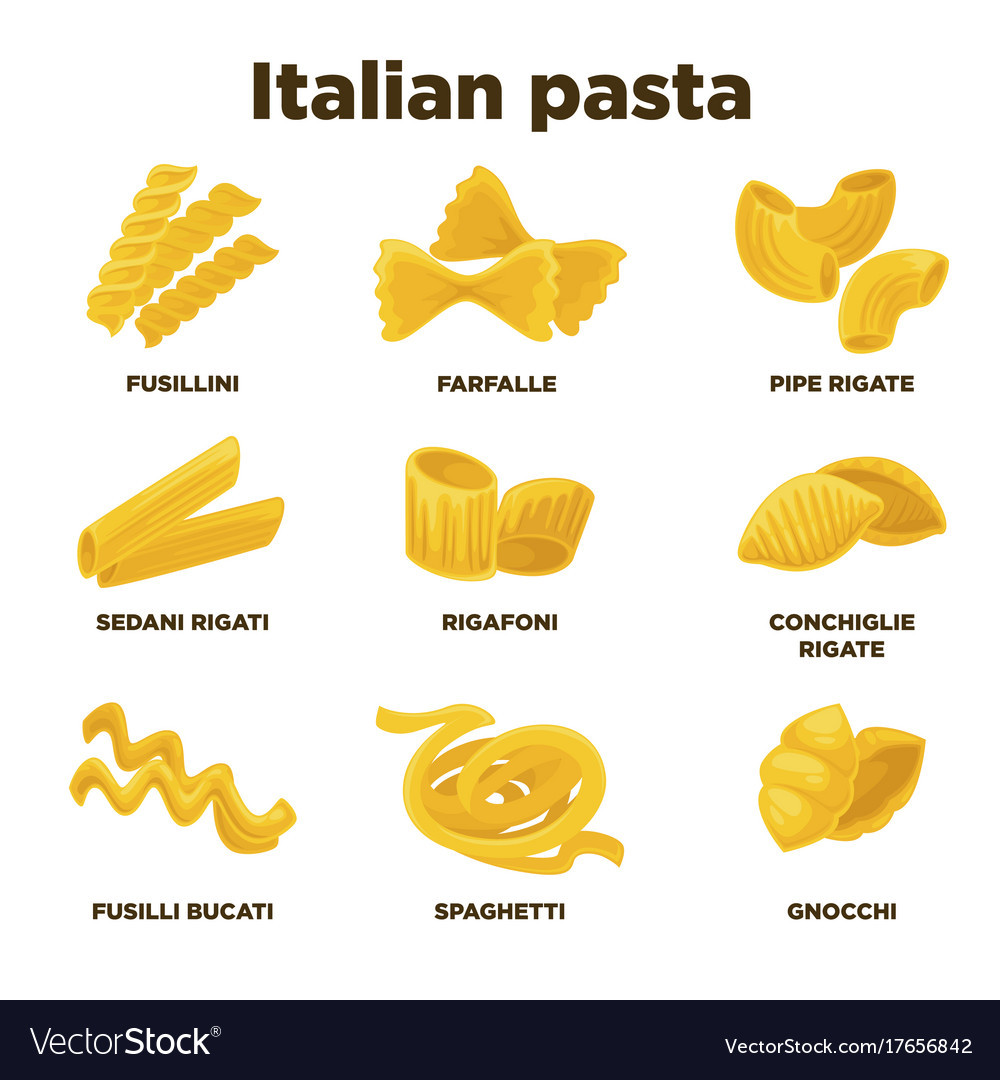 Types Of Italian Noodles
 Delicious italian pasta types of high quality Vector Image