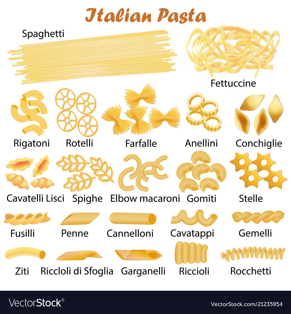 Types Of Italian Noodles
 Set of kinds of italian pasta Royalty Free Vector Image