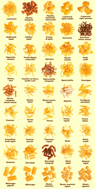 Types Of Italian Noodles
 Pasta Poster…