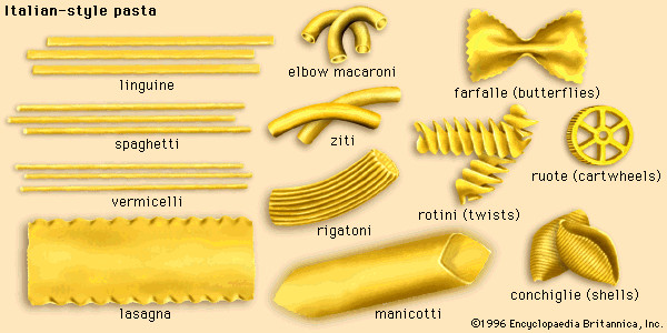 Types Of Italian Noodles
 pasta Italian style pasta Kids Encyclopedia