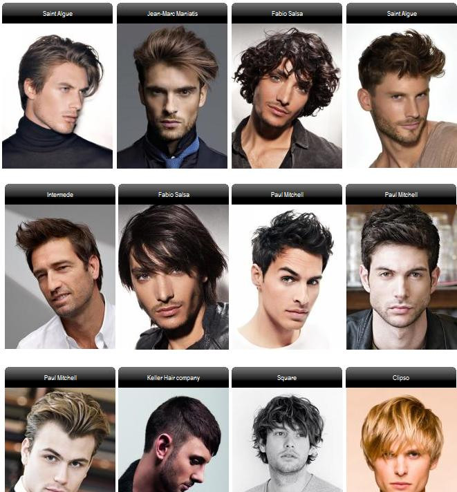 Types Of Mens Hairstyle
 Guys facial hair styles BakuLand Women & Man fashion blog