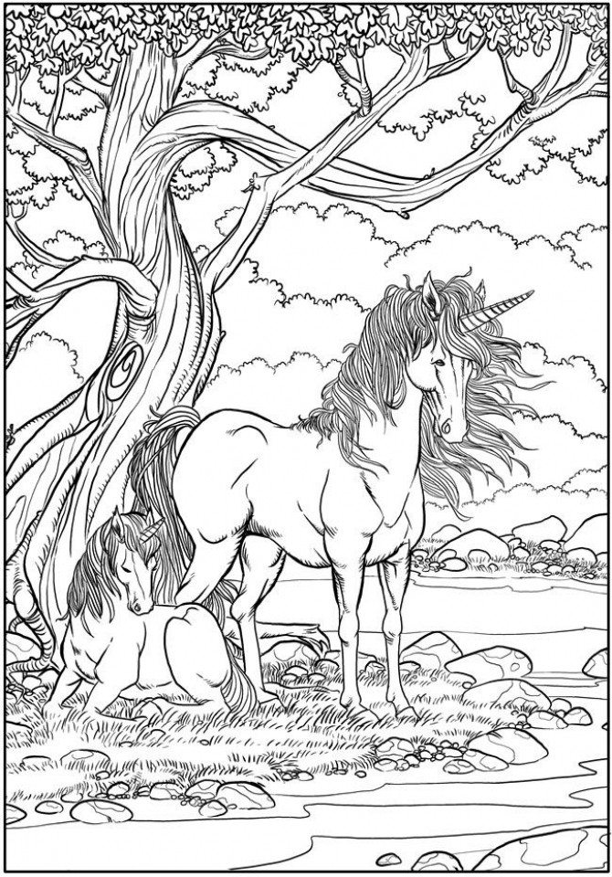 Unicorn Adult Coloring Book
 Get This Free Printable Unicorn Coloring Pages for Adults