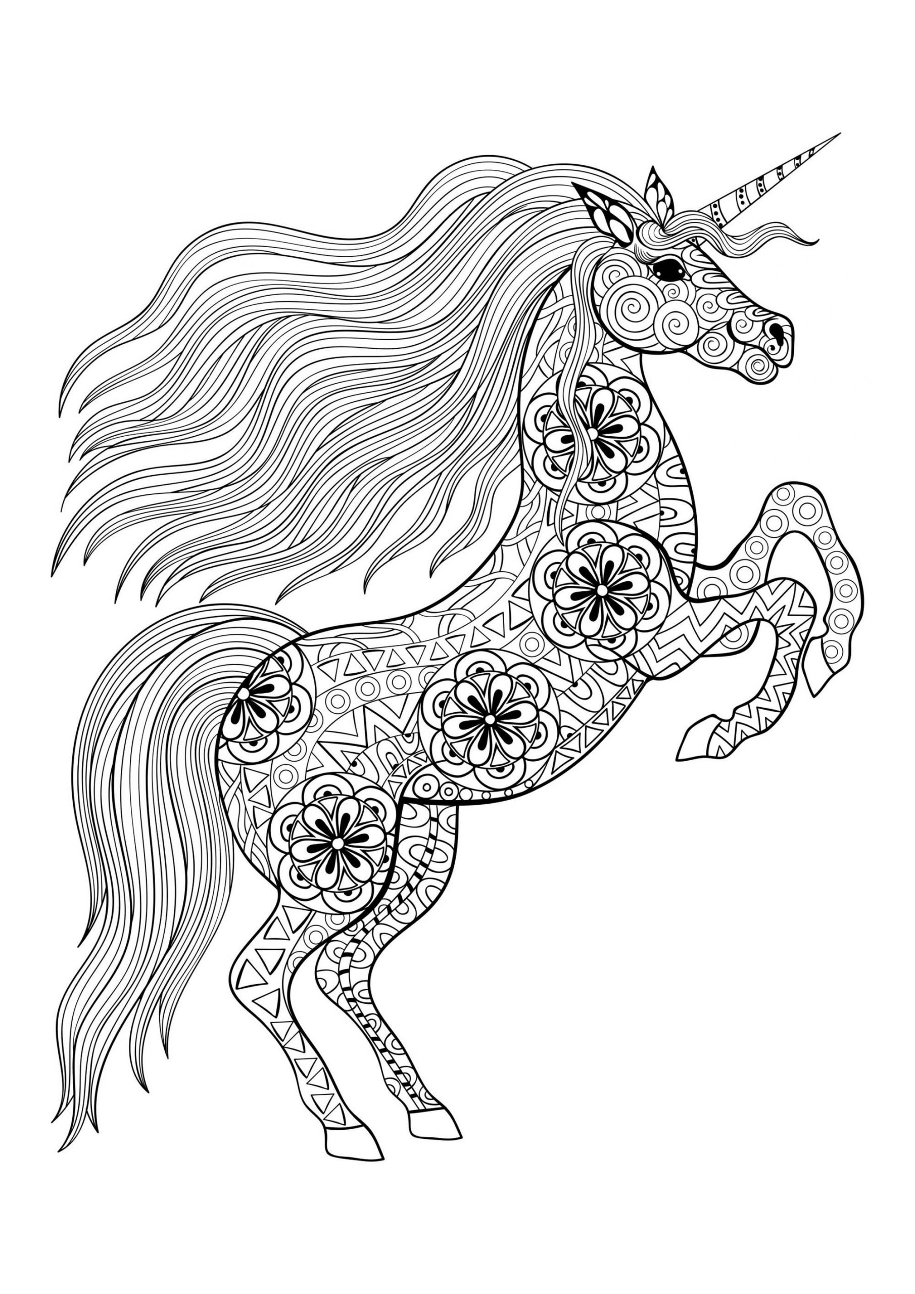 Unicorn Adult Coloring Book
 Unicorn on its two back legs Unicorns Adult Coloring Pages