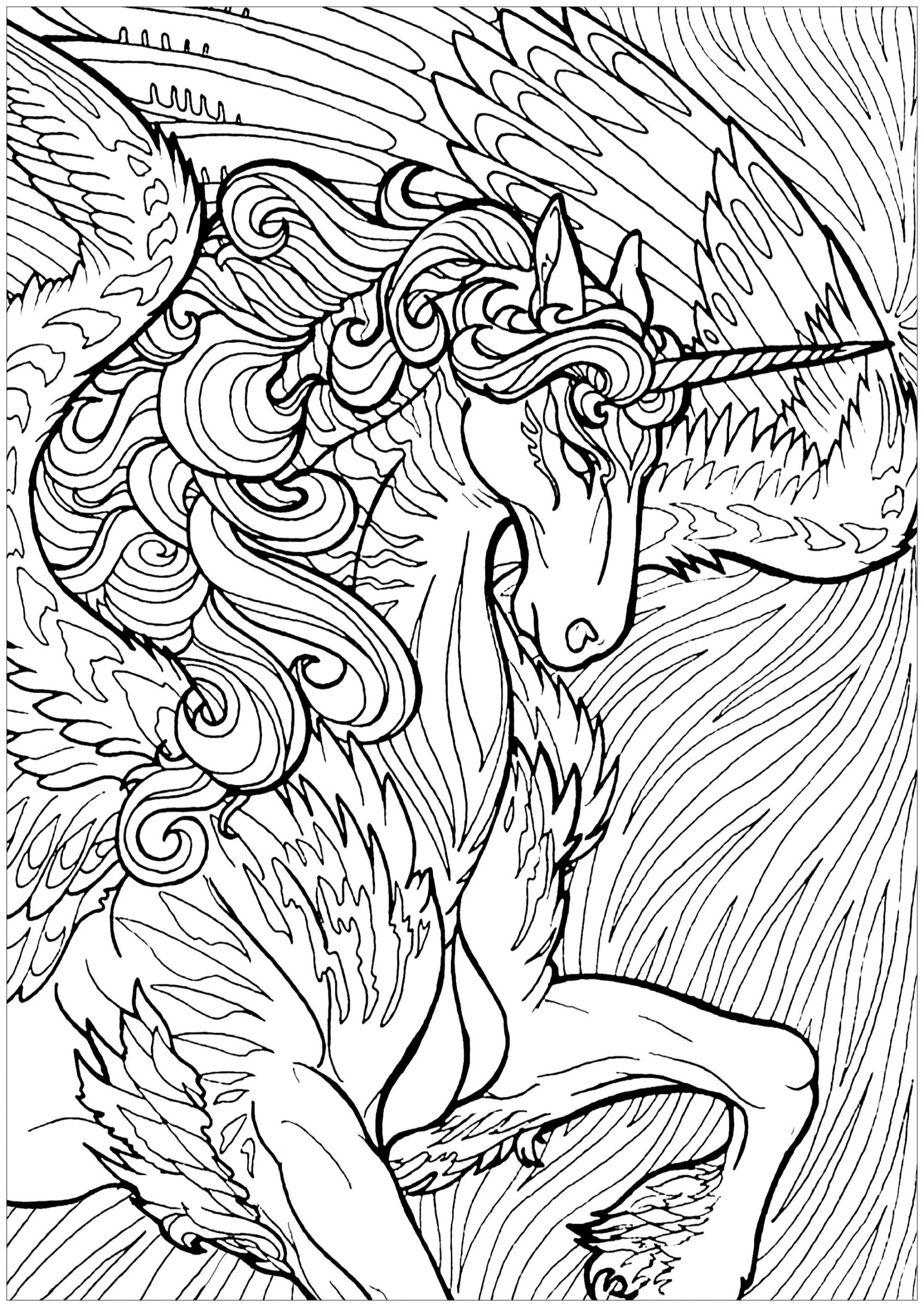 Unicorn Adult Coloring Book
 Unicorn with wings and background Unicorns Adult