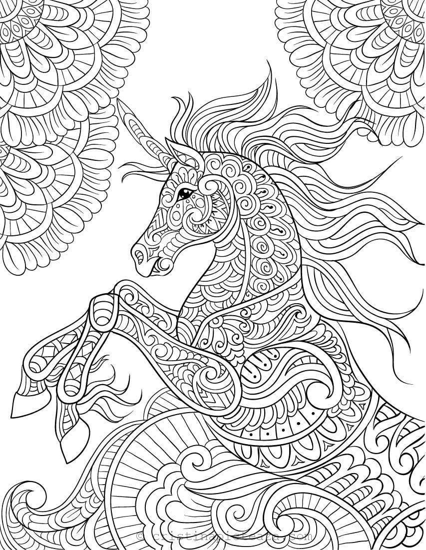 Unicorn Adult Coloring Book
 Unicorn de colorat – Planse de colorat cu cai inaripati