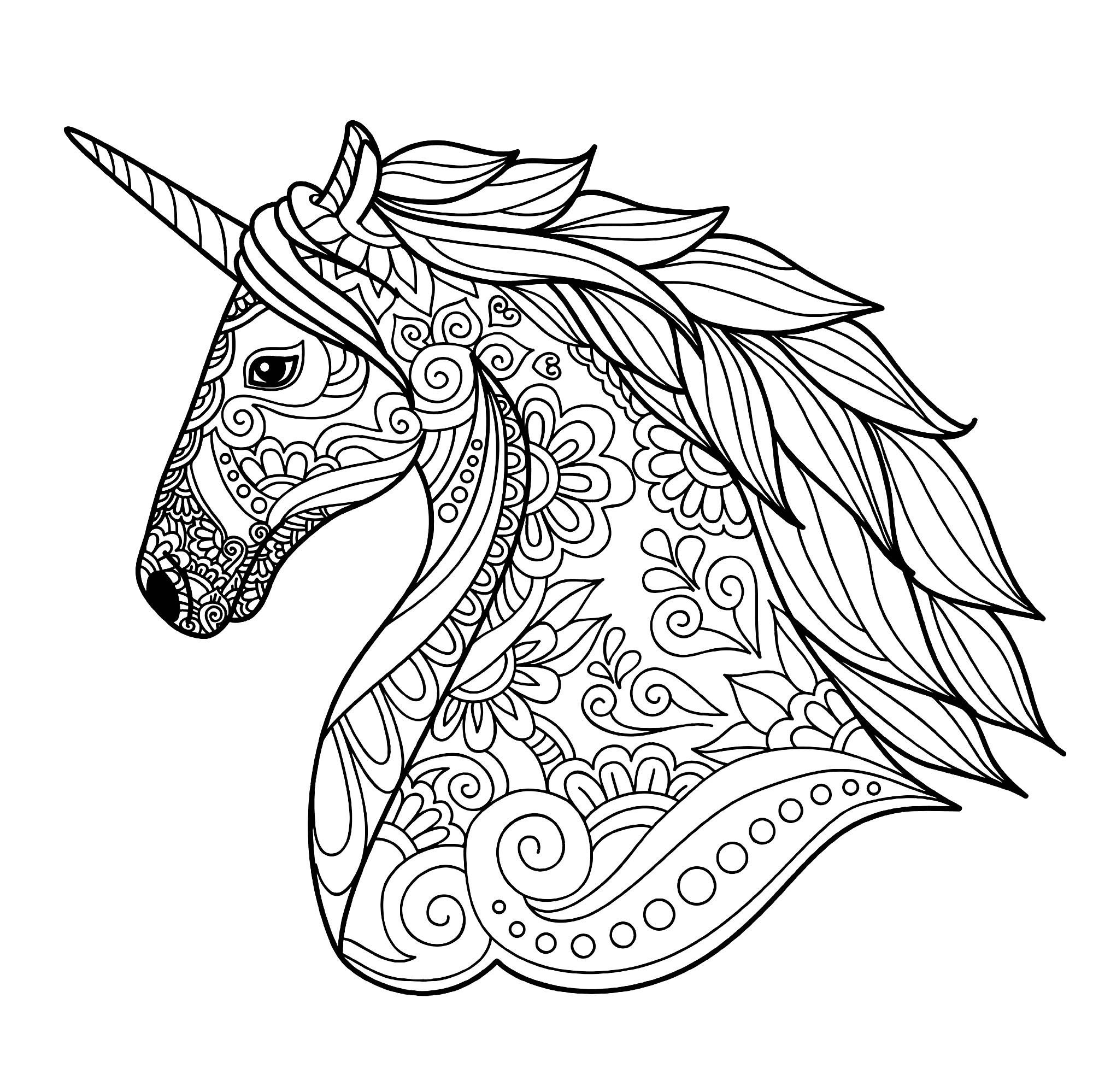 Unicorn Adult Coloring Book
 Unicorn head simple Unicorns Adult Coloring Pages