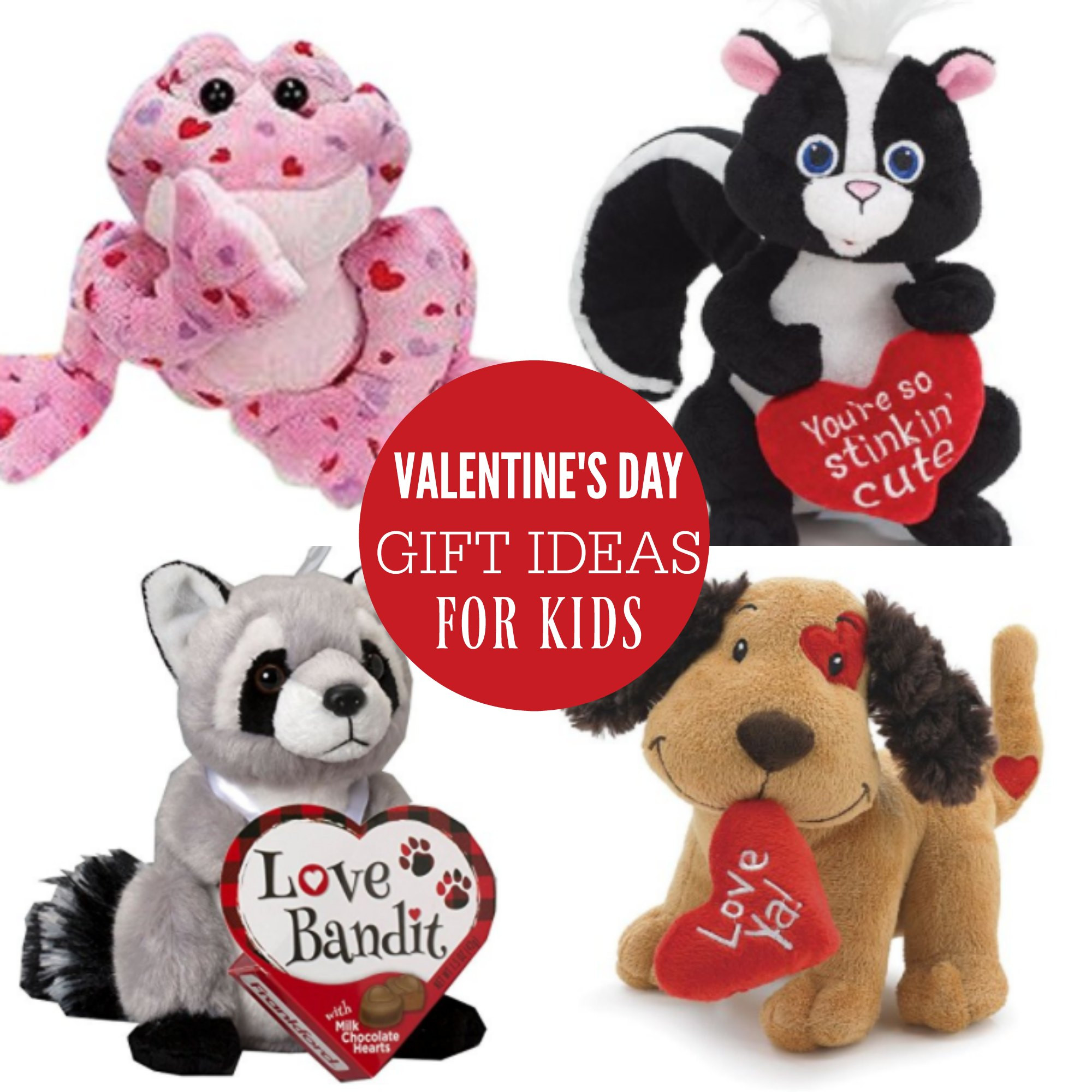 Valentine Day Gift Ideas For Kids
 Valentine Gift ideas for Kids That they will love