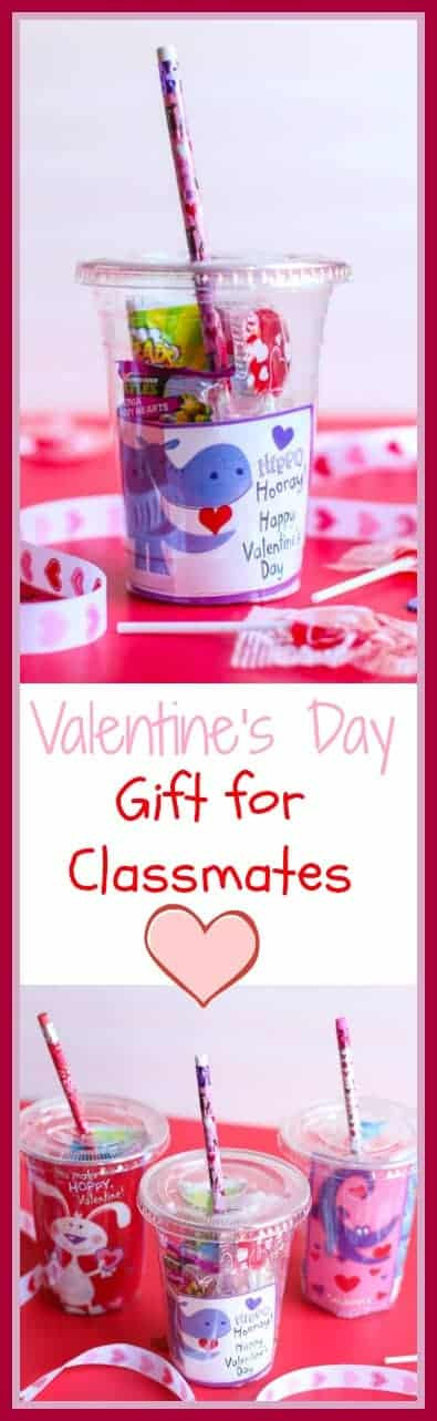 Valentine Gift Ideas For Classmates
 DIY Valentine s Day Gifts for Students From Teachers A