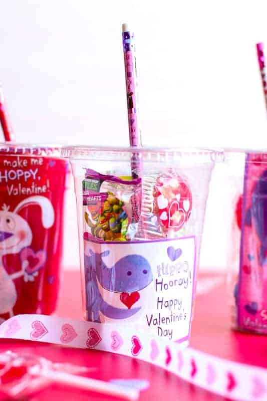 Valentine Gift Ideas For Classmates
 DIY Valentine s Day Gift for Classmates