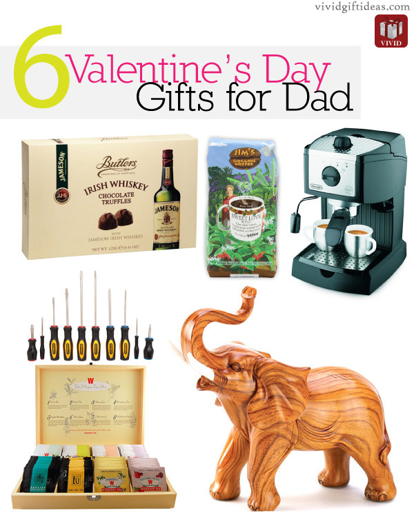 Valentine Gift Ideas For Dad
 6 Cool Valentines Day Gifts for Dad Vivid s Gift Ideas