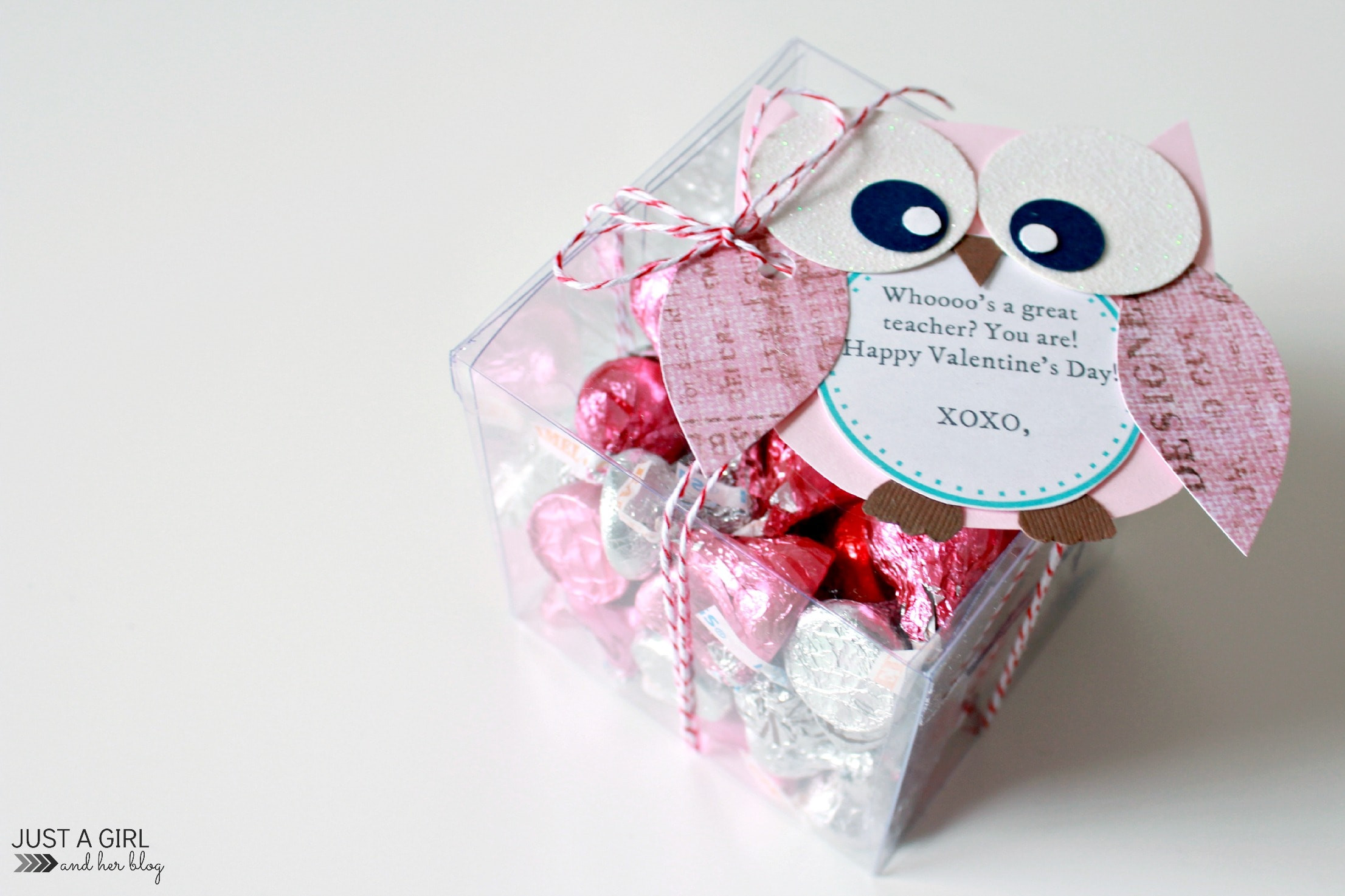 Valentine'S Day Teacher Gift Ideas
 Owl Valentine Teacher Gift