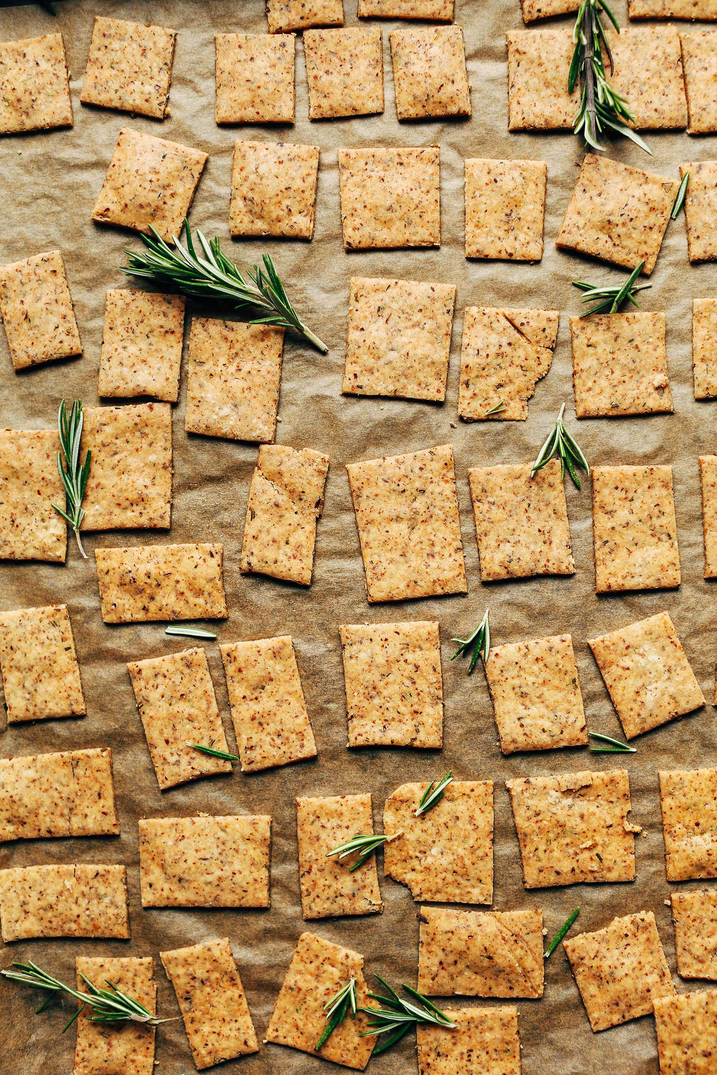 Vegan Crackers Recipe
 1 Bowl Vegan Gluten Free Crackers