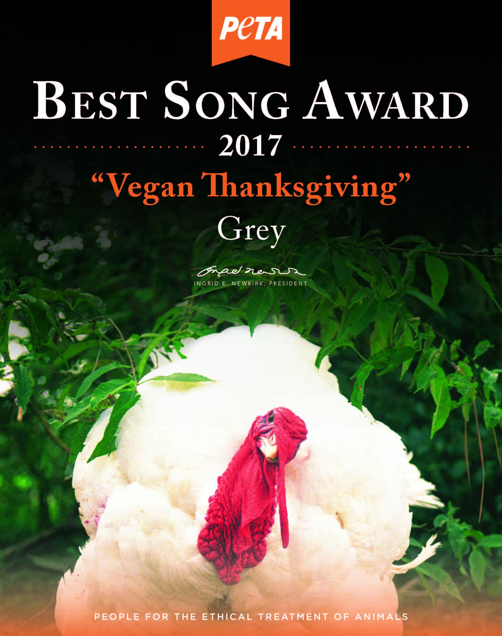 Vegan Thanksgiving Rap
 Vegan Rapper Grey Wins Best Song Award For Iconic