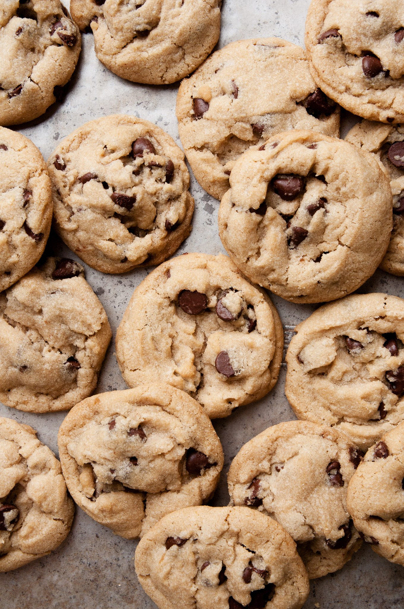 Vegan Treats Recipes
 15 of the Best Chocolate Chip Cookie Recipes The