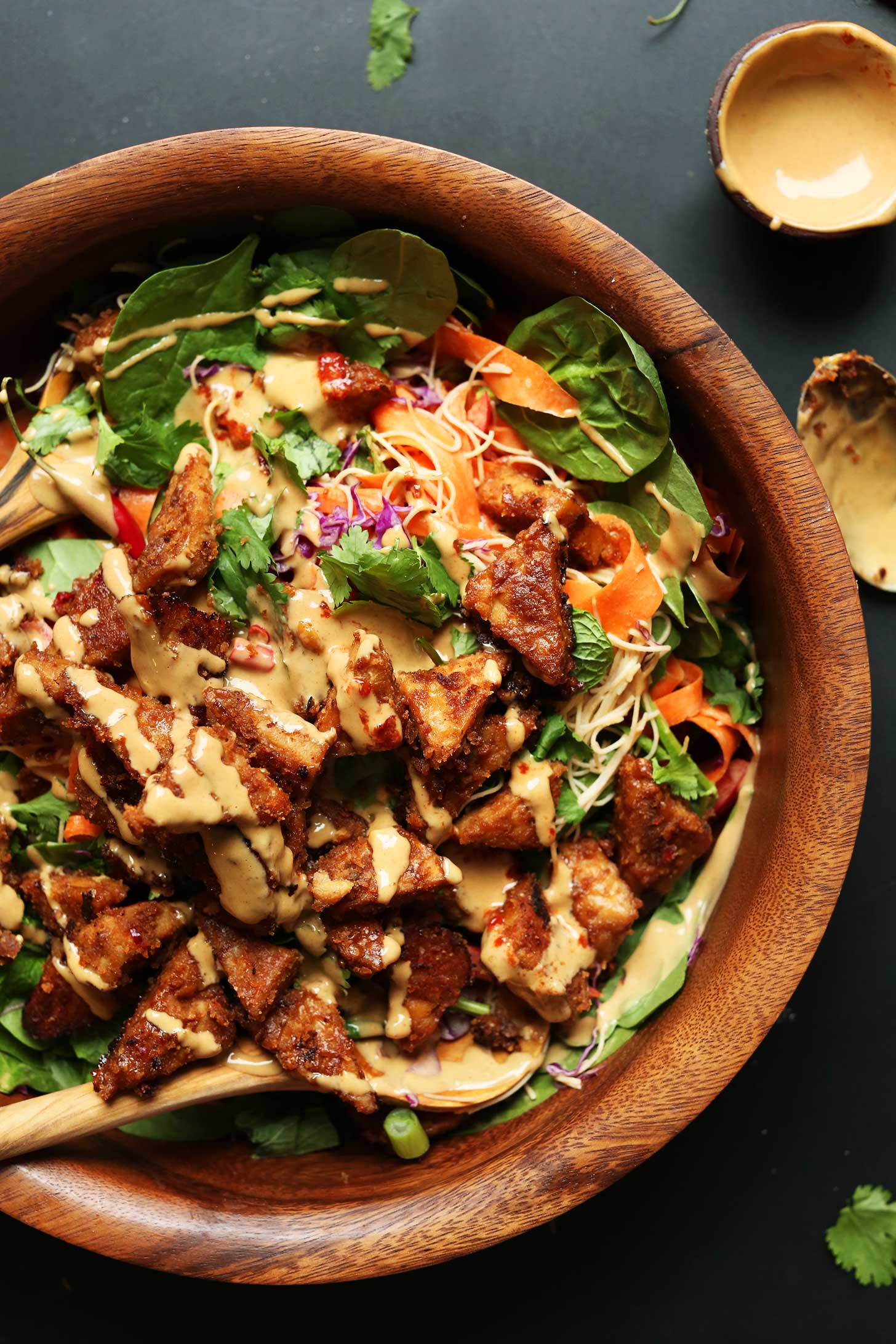 Vegetarian Tempeh Recipes
 Rainbow Thai Salad with Peanut Tempeh