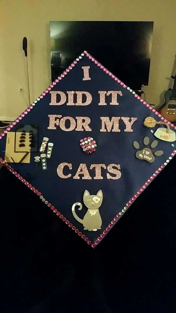 Vet School Graduation Gift Ideas
 Vet Tech Graduation Cap Graduating