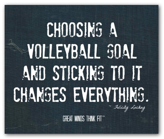 Volleyball Motivational Quotes
 Volleyball Quotes on Posters for Motivation