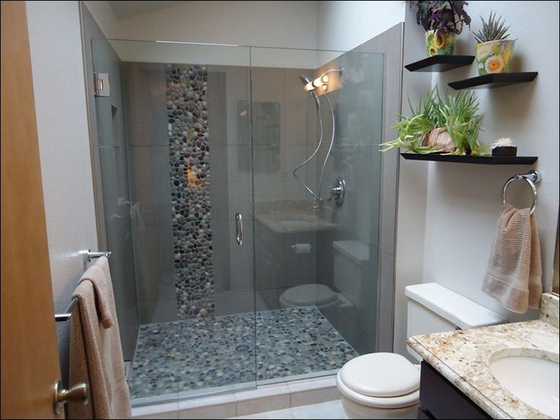 Walk In Shower Small Bathroom
 Modern Bathroom Design Ideas with Walk In Shower