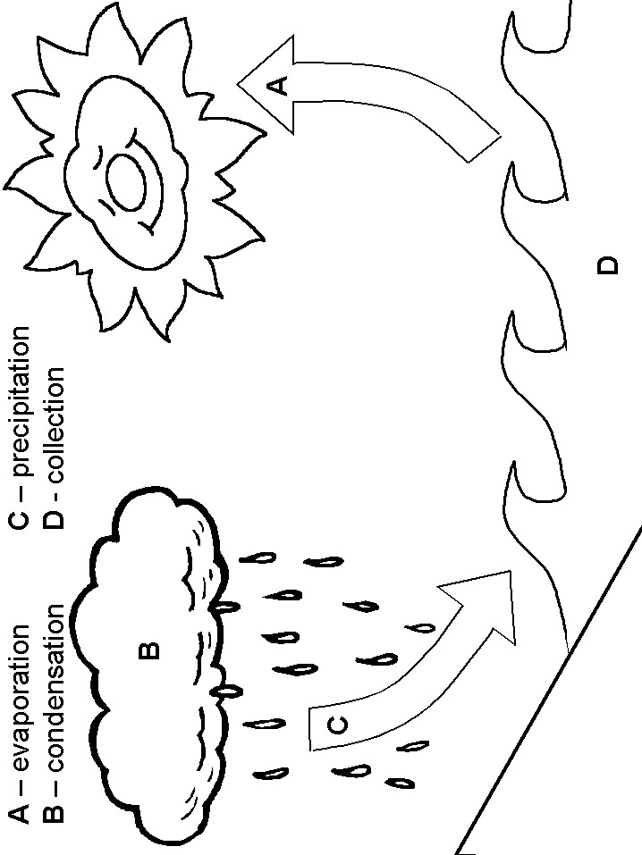 Water Coloring For Kids
 Water Cycle Activity Sheets