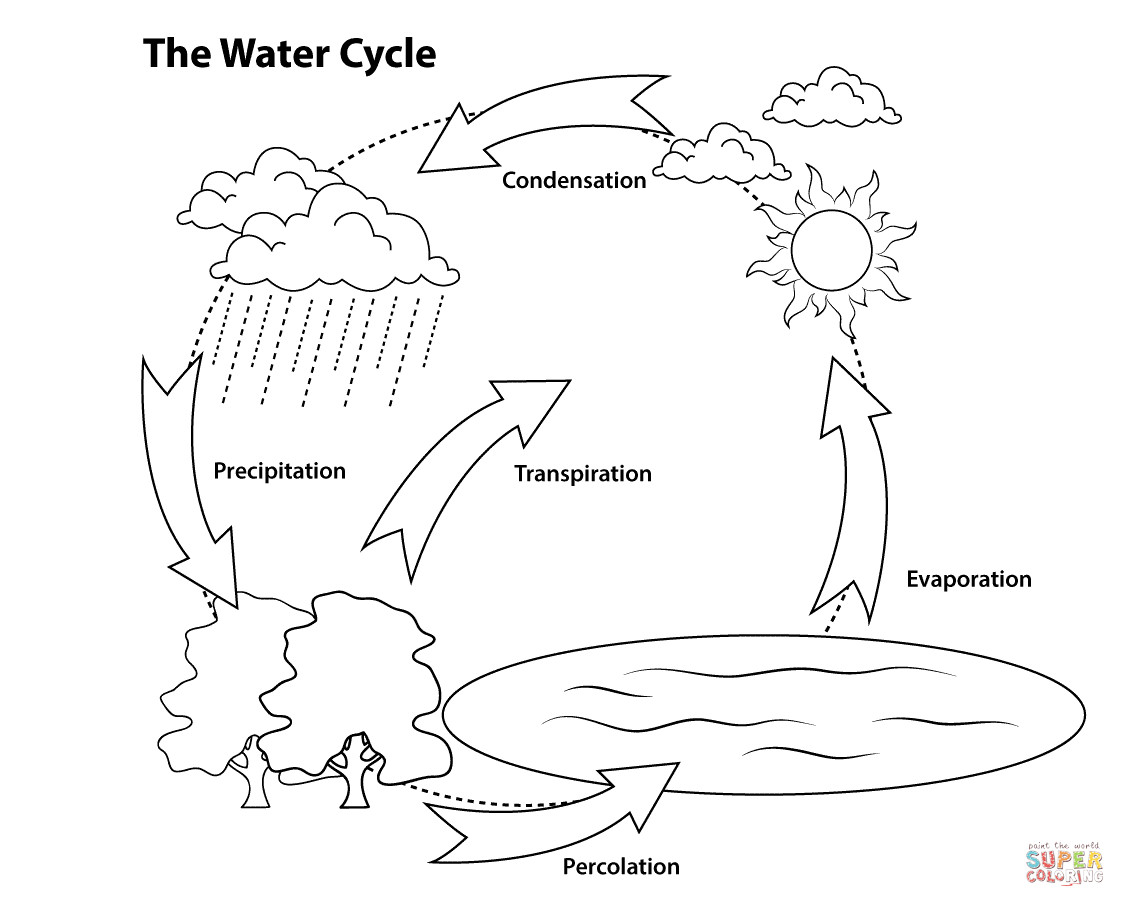 Water Coloring For Kids
 Water Cycle For Kids Coloring Page Coloring Home