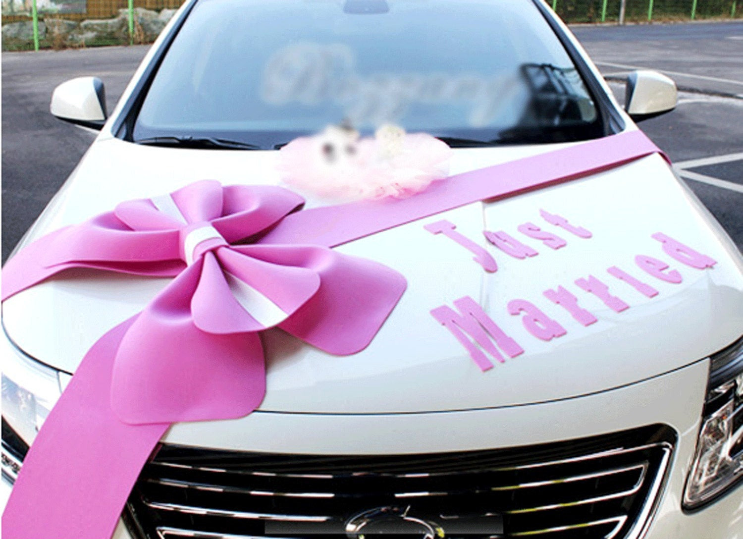 Wedding Car Decoration Kit
 Wedding car Decorations kit Big Ribbons Pink bows set Just