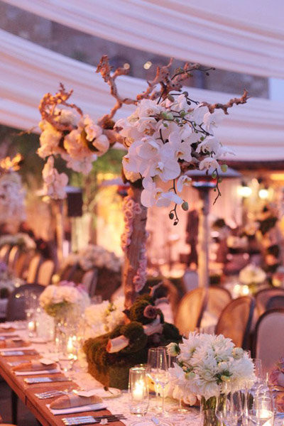 Wedding Themes And Ideas Pictures
 The Most Popular Wedding Theme Ideas BridalGuide