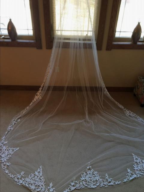 Wedding Veils Chicago
 New Stephen Yearick Veil $600