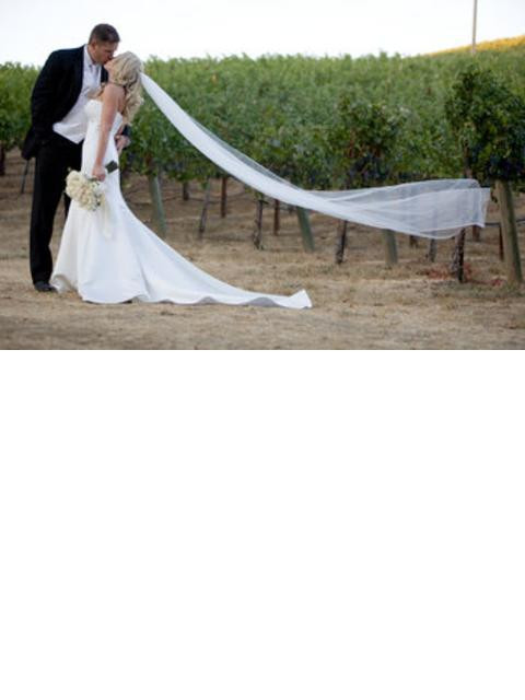 Wedding Veils Chicago
 New No designer Veil $50